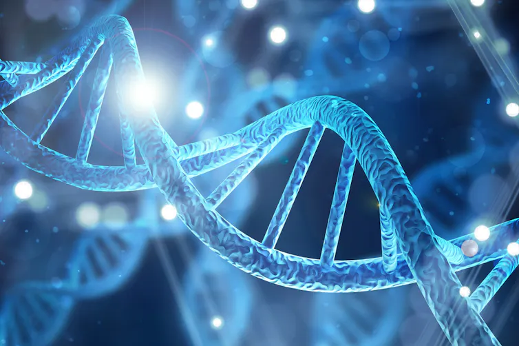 schéma d’une molécule d’ADN