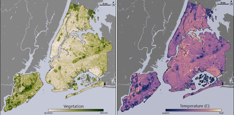 Two maps of New York City show how vegetation matches cooler areas by temperature.