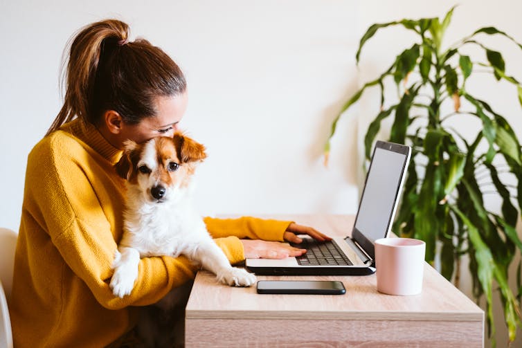 A young woman working at a laptop with a dog on her lap.