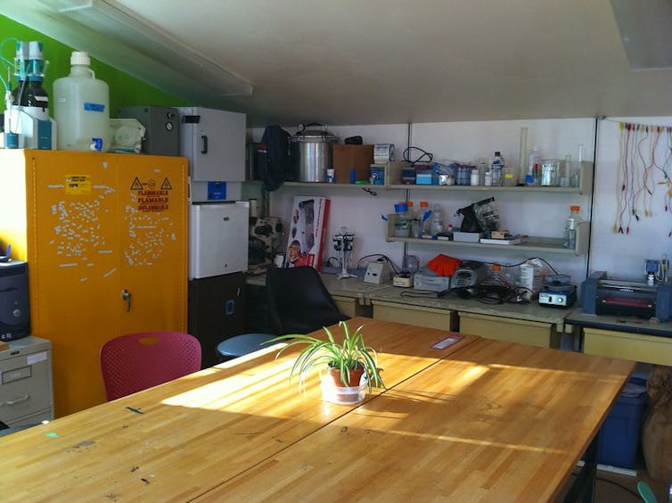 A DIY bio lab with equipment arranged on counters and cabinets against the walls.