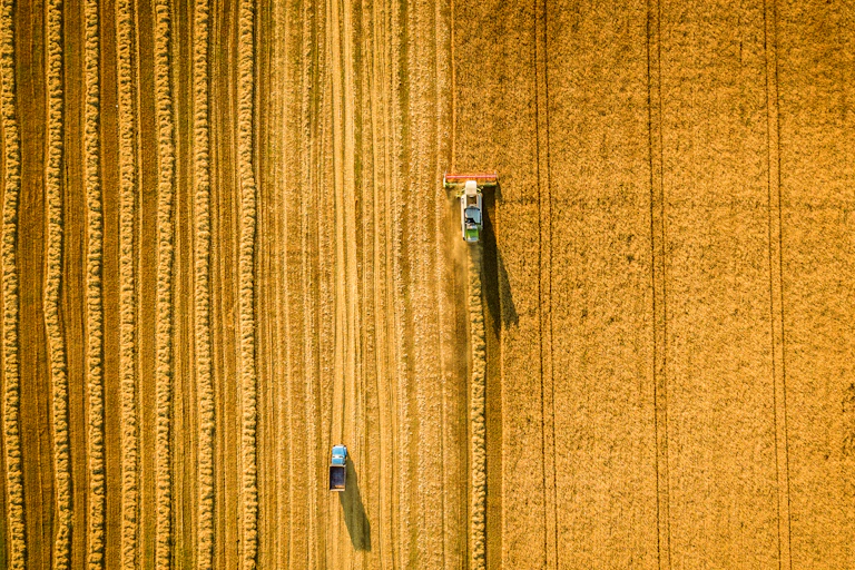 Overhead view of a grain harvester driving through a field of wheat