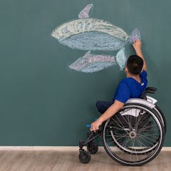 inclusive education news articles
