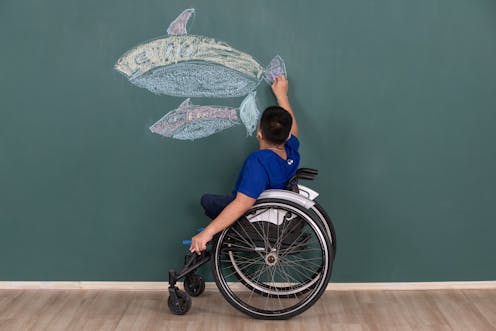 Why do students with disability go to 'special schools' when research tells us they do better in the mainstream system?