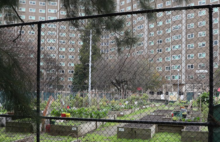 public housing with vegetable gardens in foreground