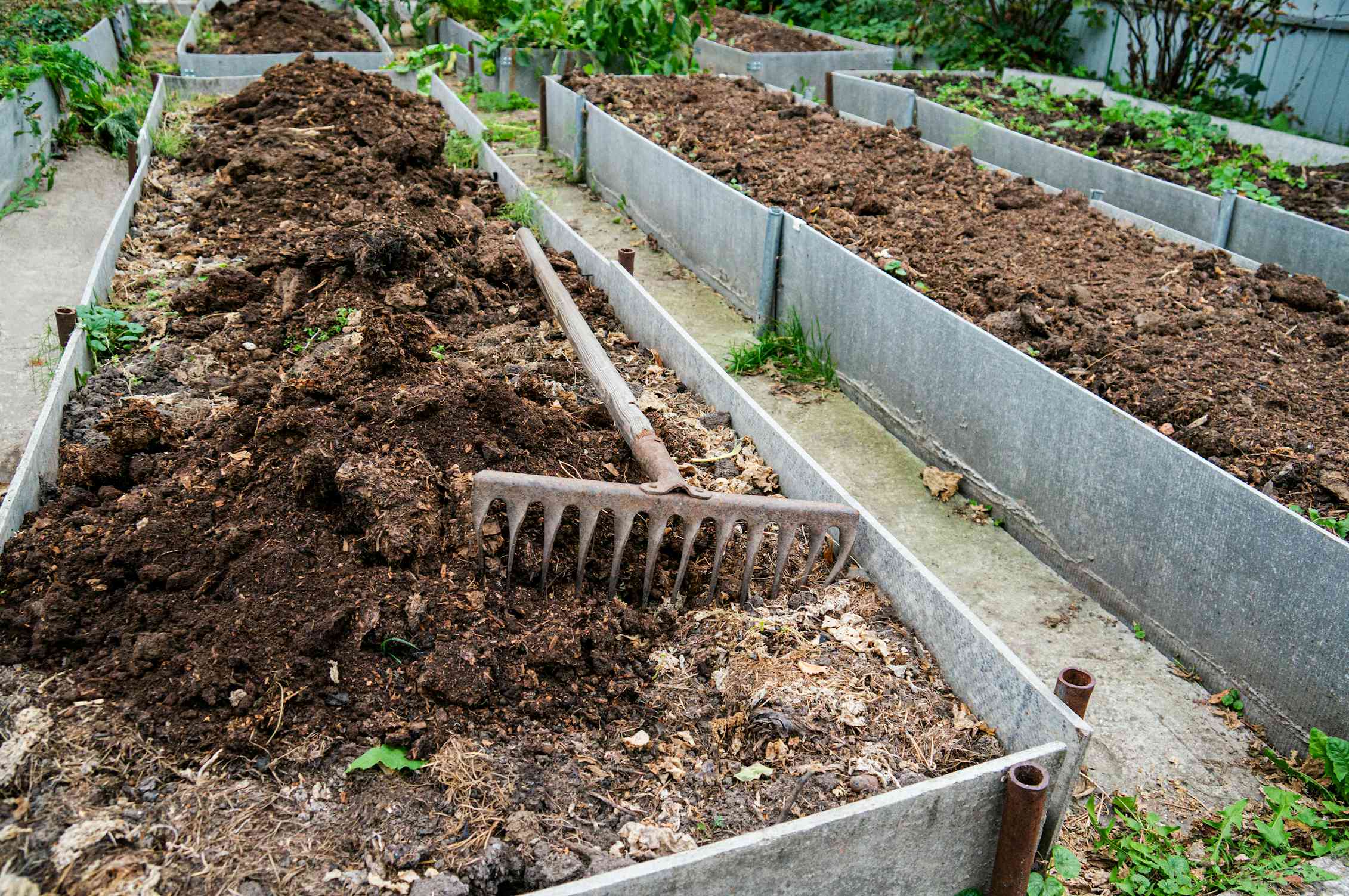 garden bed with rake and manure on top