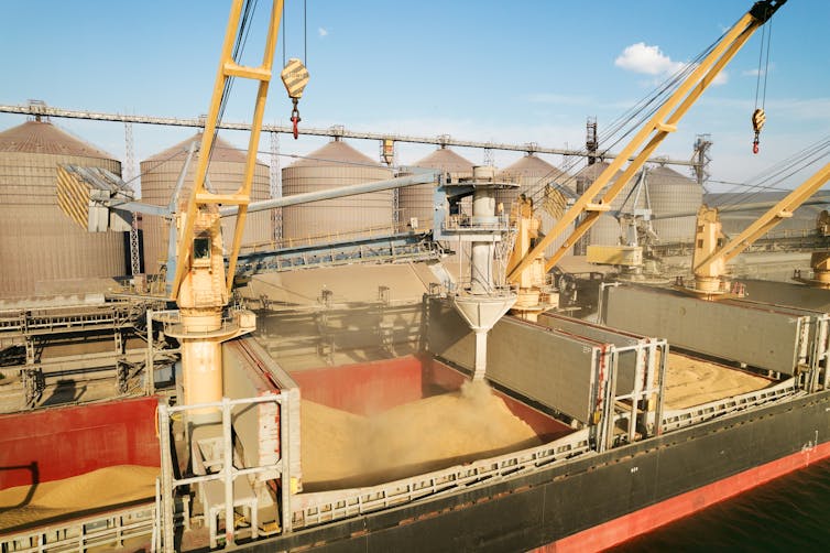 Cranes loading grain on cargo vessels