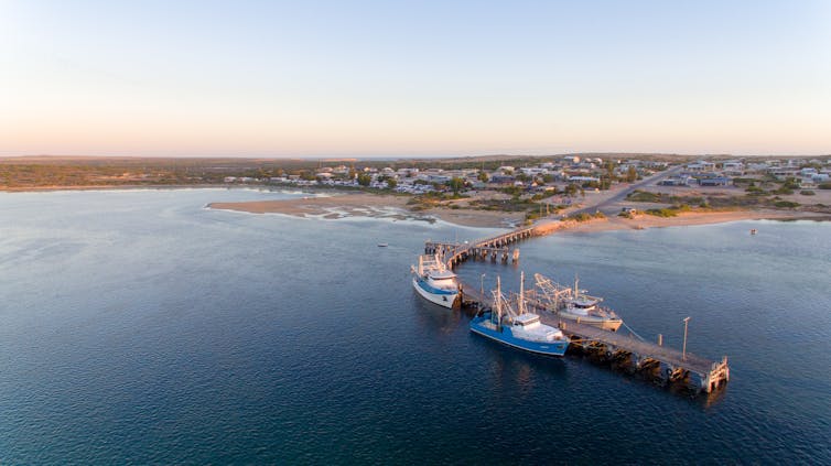 commercial fishing boats at dock