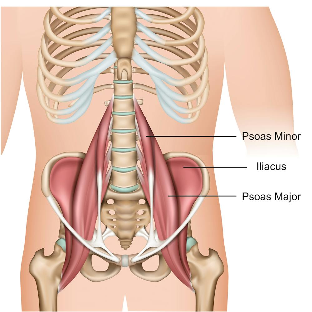 Hip flexors get weak when we sit too much – but simple stretches ...