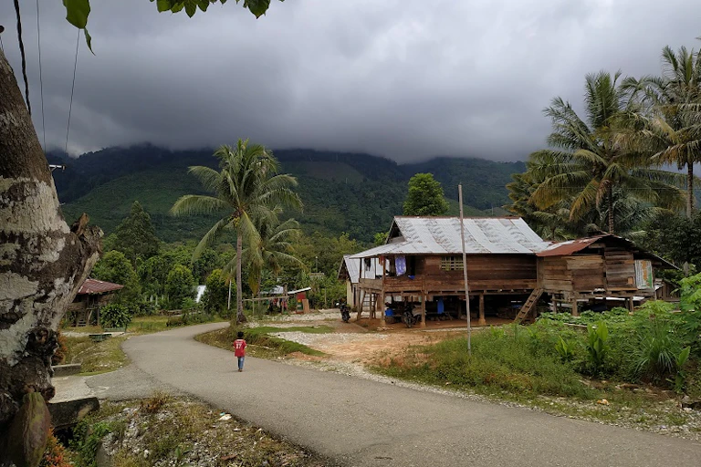 Suasana di Desa Tamanjeka, di bawah kaki Gunung Biru, Poso, Sulawesi Tengah.