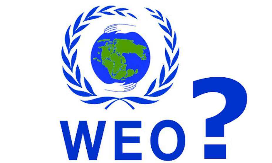 Why is there still no World Environment Organisation?