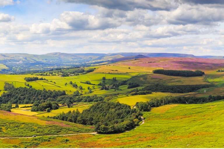 Rolling hills.