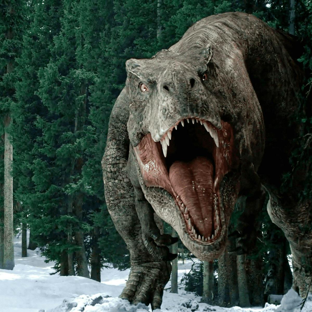 Jurassic World Dominion: a palaeontologist on what the film gets ...