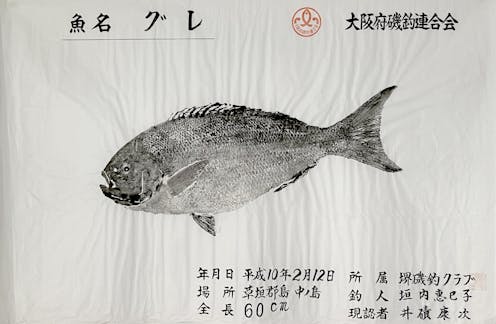 ¿Qué hace un pescado impreso en ese papel? ¿Qué hace un pescado impreso en ese papel?