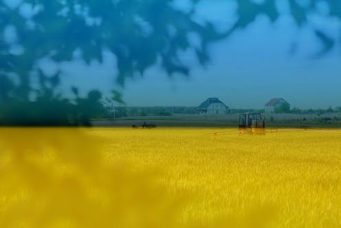 La guerra en Ucrania puede provocar más hambre en el mundo: así podríamos remediarlo La guerra en Ucrania puede provocar más hambre en el mundo: así podríamos remediarlo