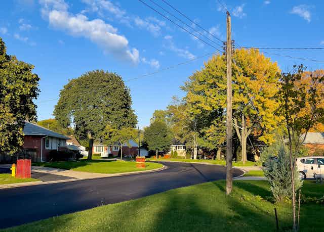 An image of a suburban street with tree lined streets
