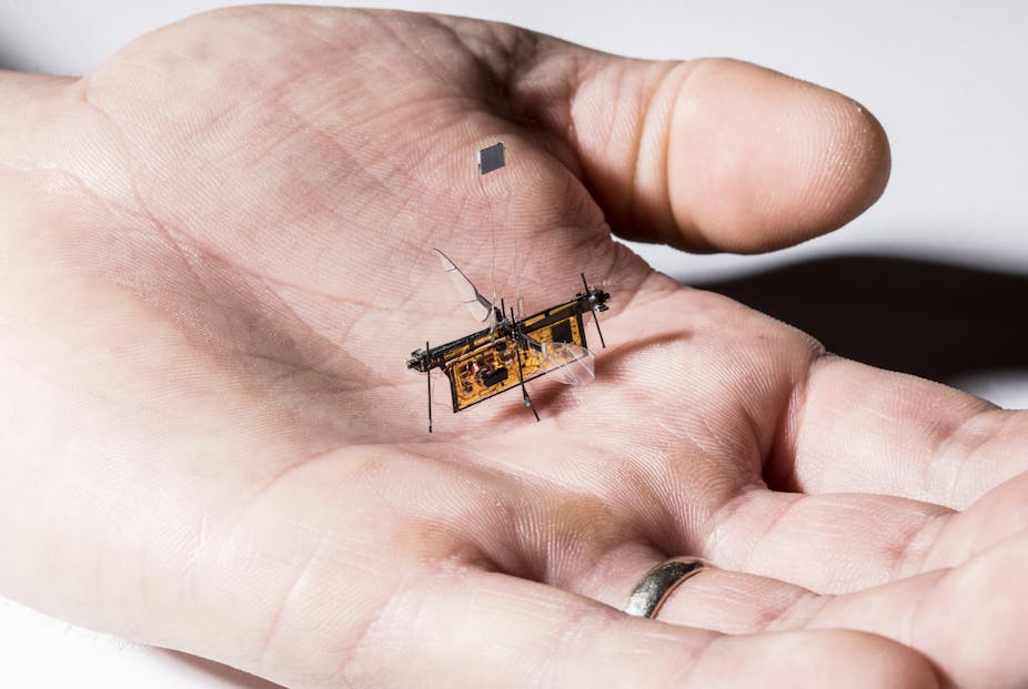 Tiny robot with insect wings rests in the palm of a person's hand