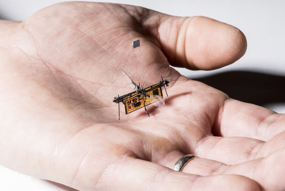 Five of the world's tiniest robots