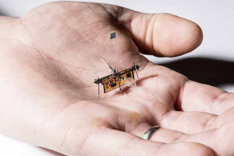 Tiny robot with insect wings rests in the palm of a person's hand