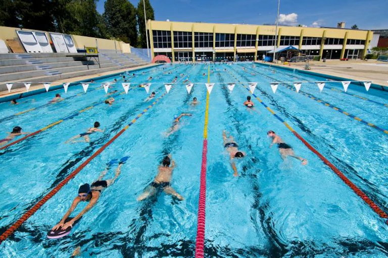 Nageurs libres, circulation en file indienne et couloirs de nage dans une piscine à Echirolles (38)