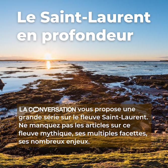 La Conversation Des Analyses De L Actualite Par Des Universitaires Et Chercheurs La Conversation Des Analyses De L Actualite Par Des Universitaires Et Chercheurs