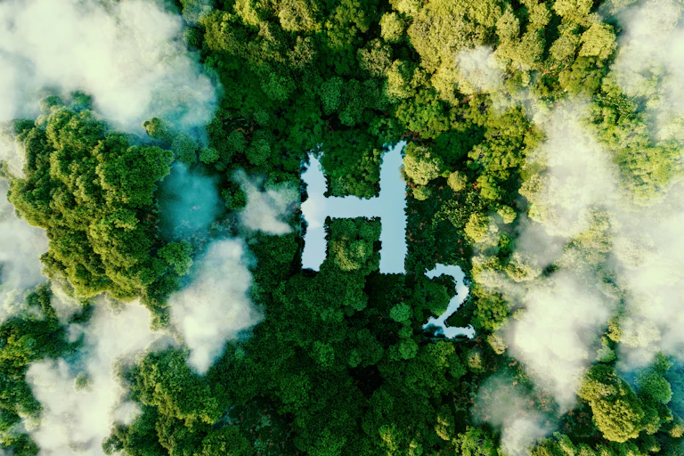 Un maris représentant la formule H2 dans une forêt.