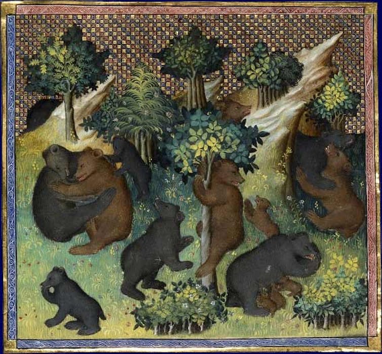 Osos pardos, representados en una miniatura de principios del siglo XV del Livre de la Chasse de Gaston Phébus.