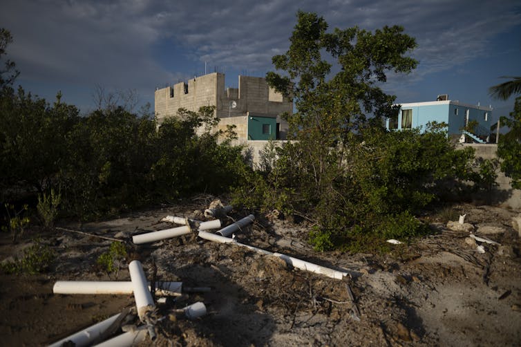 Beach homes under construction in a forested area.