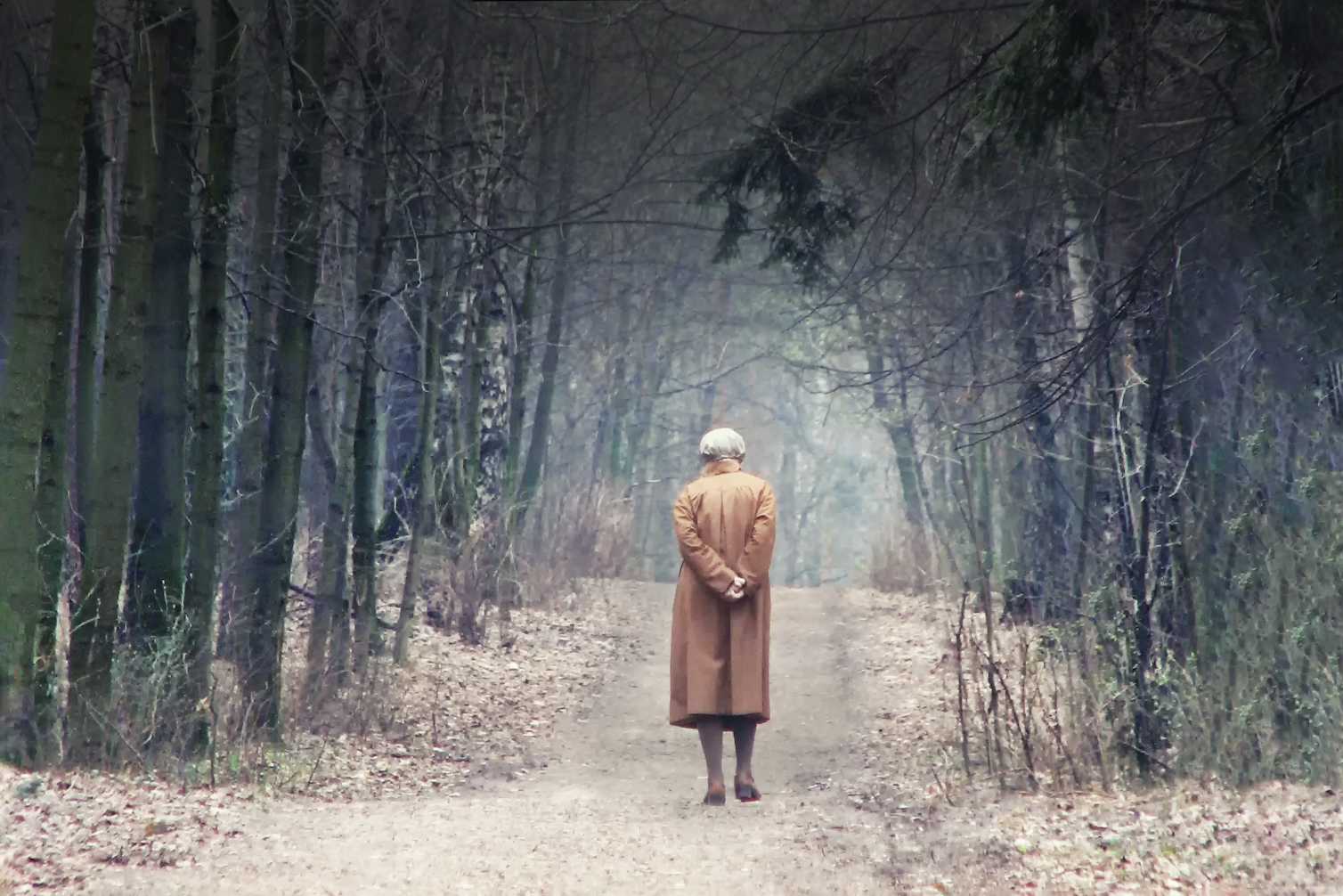 Socially isolated people have differently wired brains and poorer ...