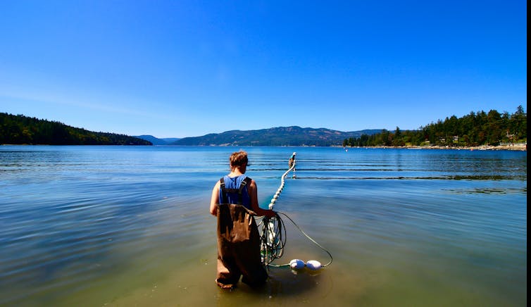 A researcher at a beach collects fishes.