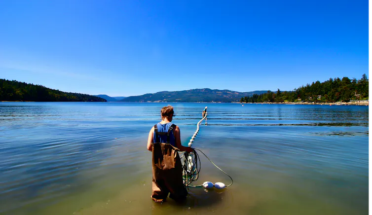 A researcher at a beach collects fishes.