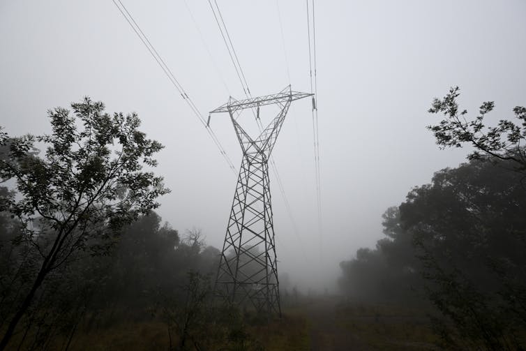 A Power Transmission Tower Between Trees In Foggy Weather