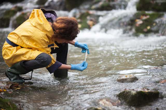 A female scientist in water proof rain boots and slicker takes a water sample from a stream using a test tube.