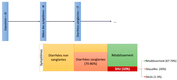 Schéma récapitulant la chronologie d’apparition des symptômes et leurs possibles degrés de gravité