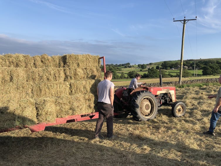 Tractor loaded with square hay bales.
