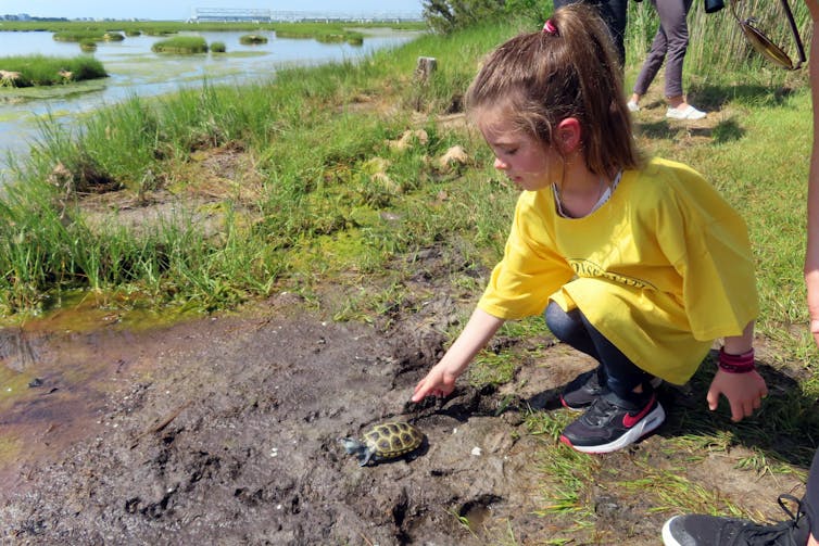 A child in a yellow shirt places a small turtle in the mud next to some water