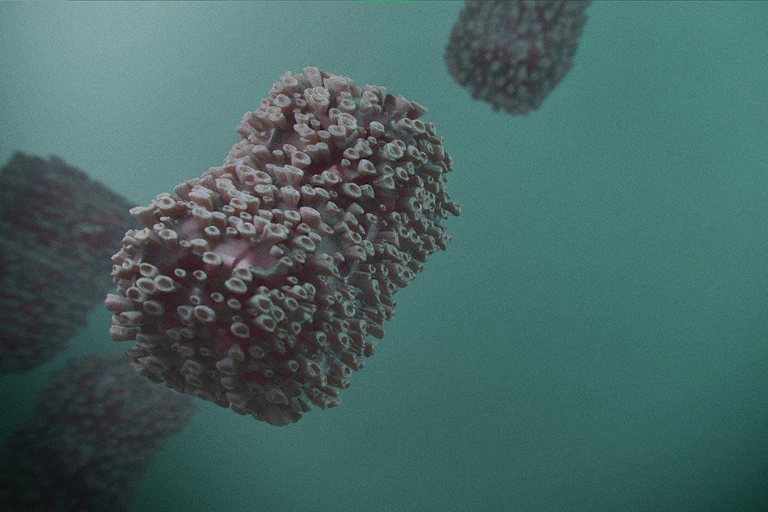An artist's illustration of a monkeypox virus