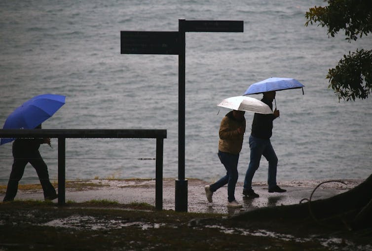 Three people walk along a footpath with umbrellas in wet weather
