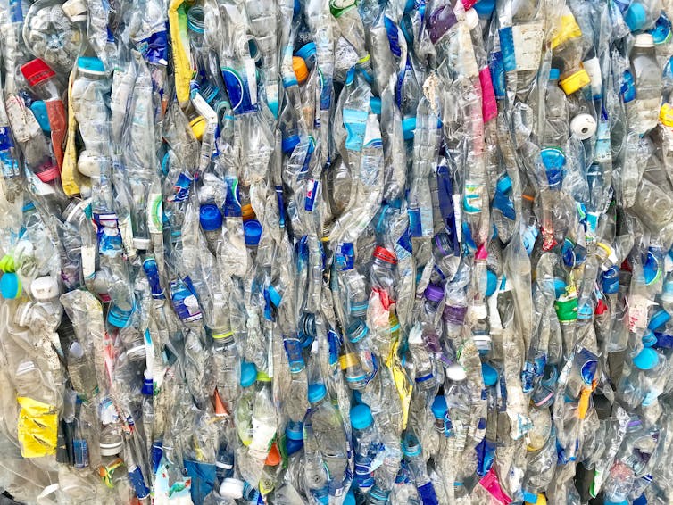 Plastic bottles are ready to be used for recycling