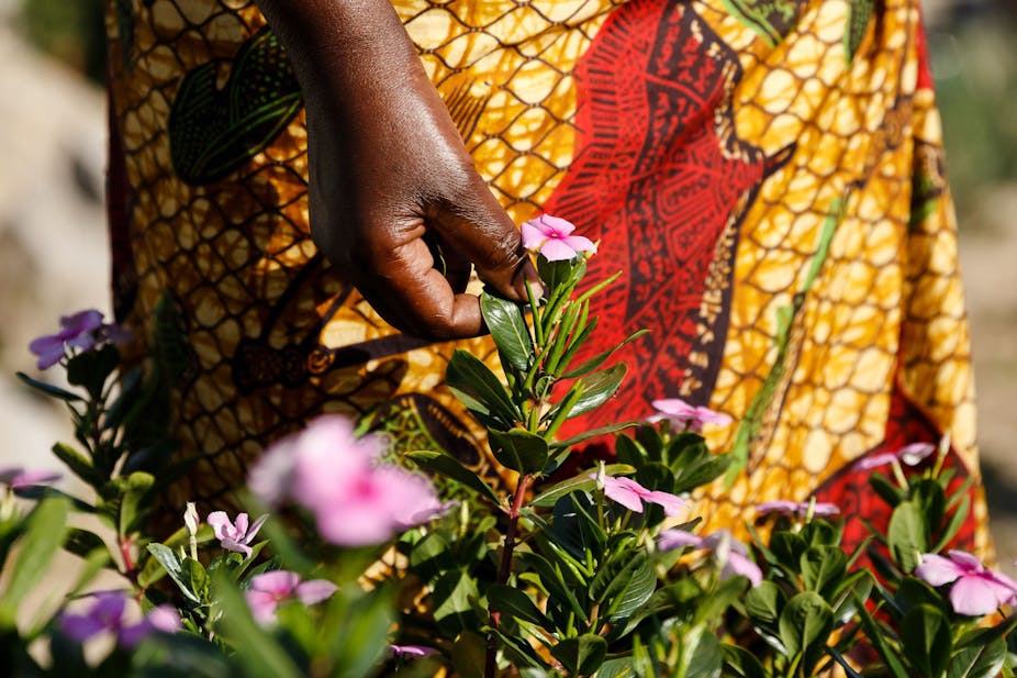 Close up of a woman picking a flower