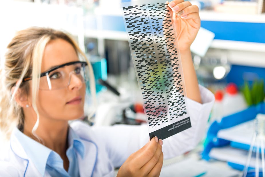 Female lab worker examines DNA autoradiogram test results