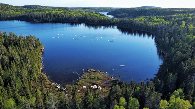 An aerial view of a lake with experimental enclosures.