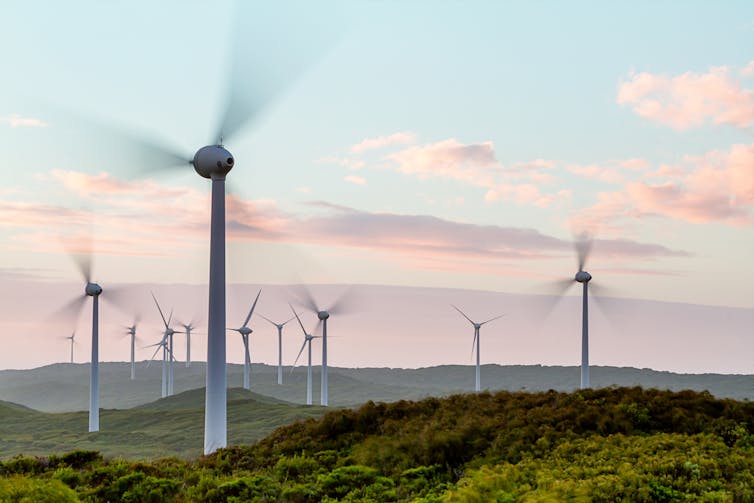 Wind turbines in a field at sunset