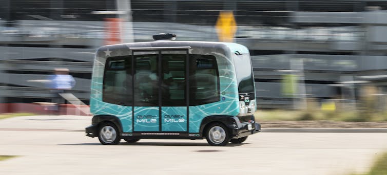 bus bus