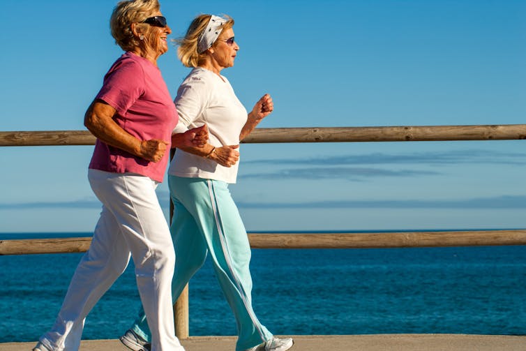 Two elderly women out for a walk together on a pier on a sunny day.