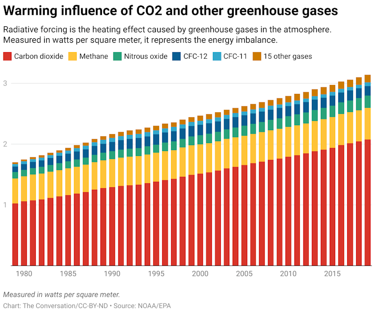 A chart showing the breakdown of different kinds of greenhouse gases in the atmosphere from 1995 to 2019. 
