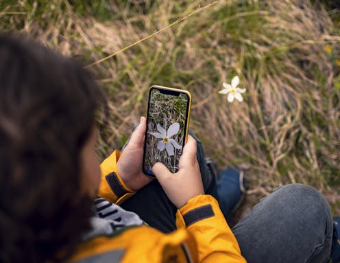 Citizen science volunteers are almost entirely white