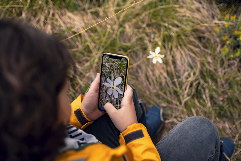 A boy taking a photo of a flower.