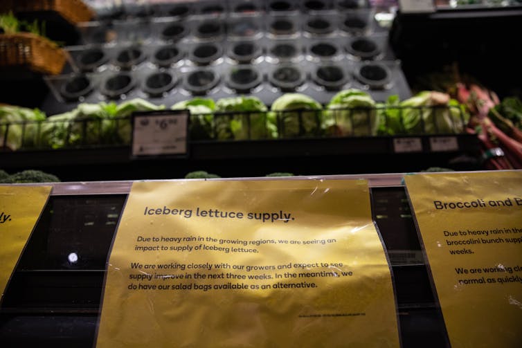 Notification of lettuce shortages in a Melbourne supermarket, June 15 2022.