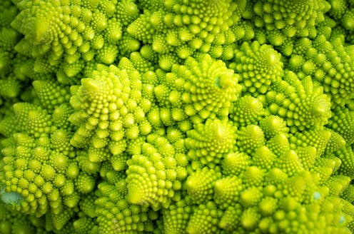 Los fractales son mucho más que una coliflor