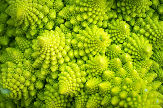 Los fractales son mucho más que una coliflor
